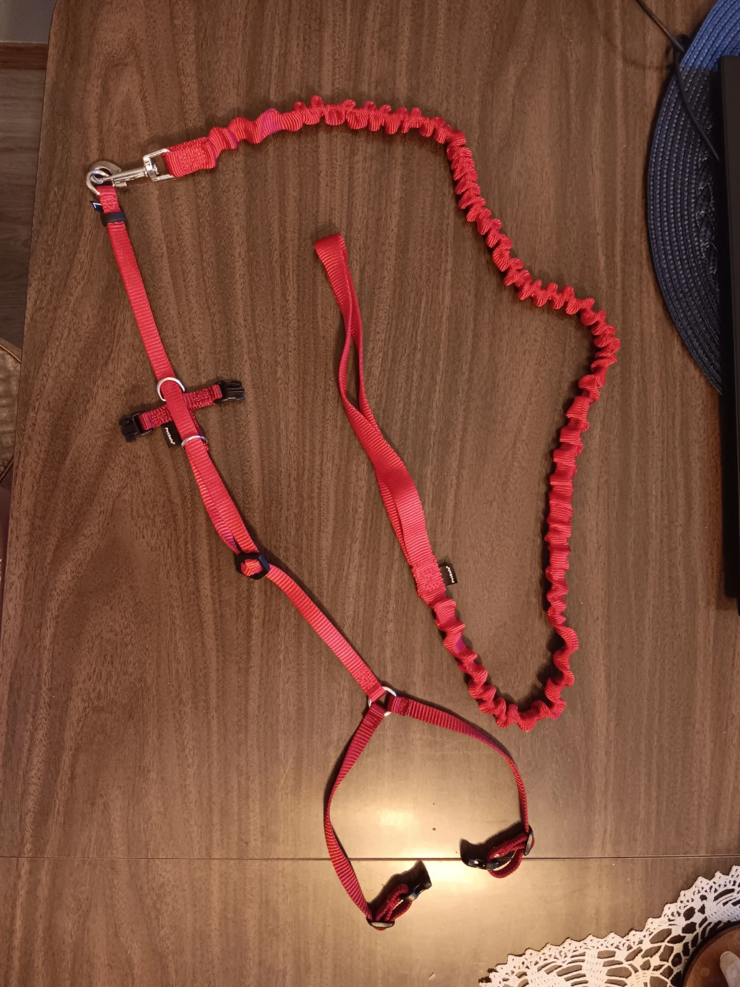 Red Cat Leash and Harness Set - photo 2
