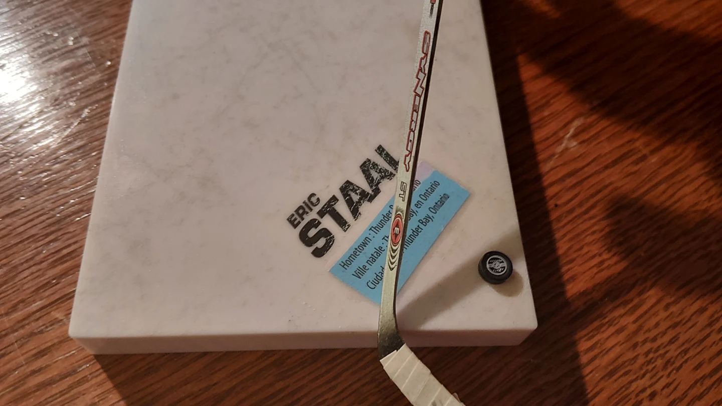 Eric Staal McFarlane Figure - photo 2