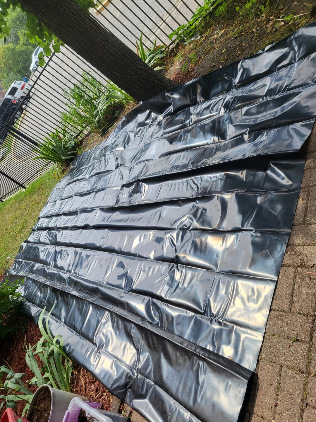 Black Pond Liner