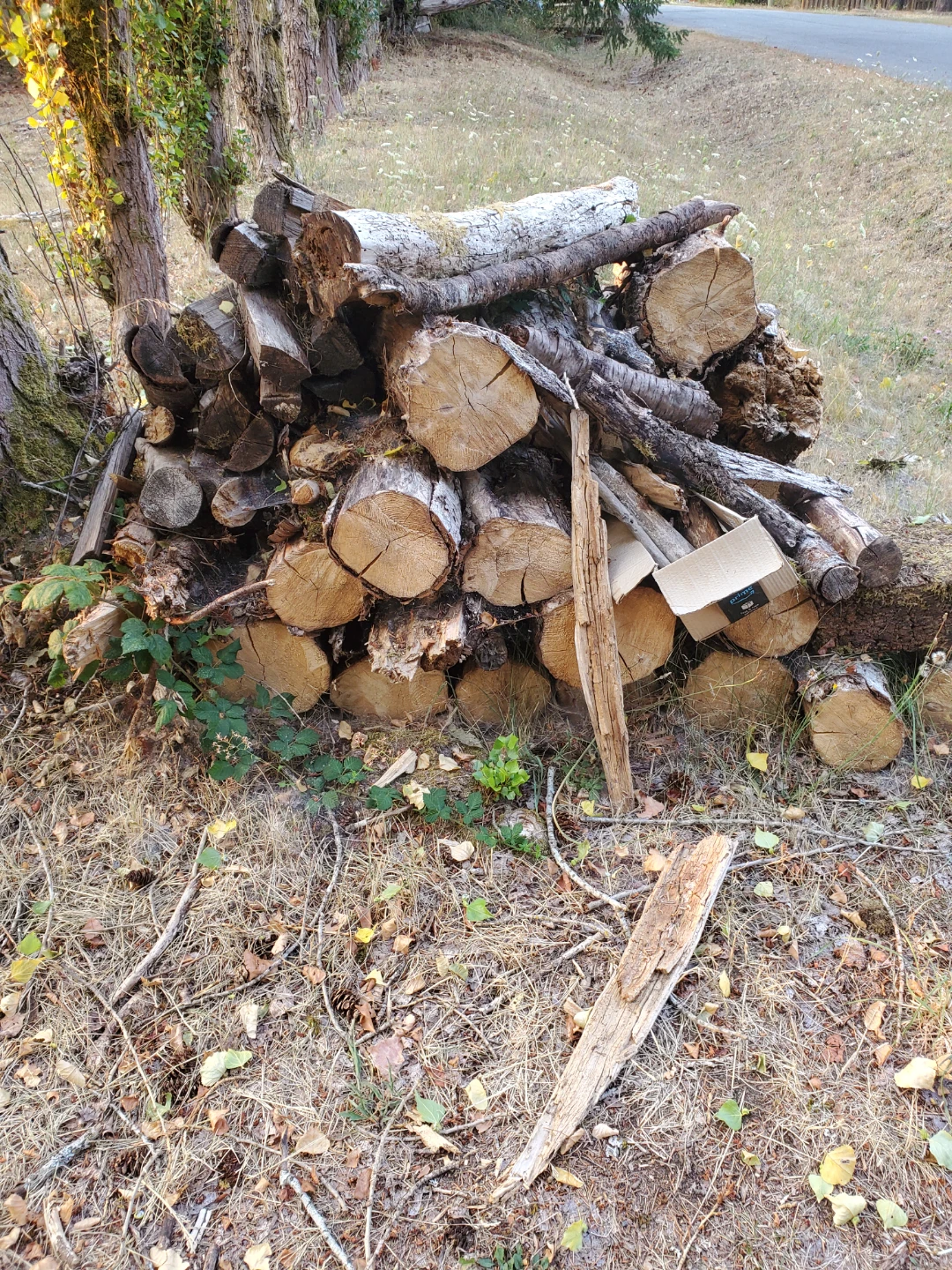 Wood