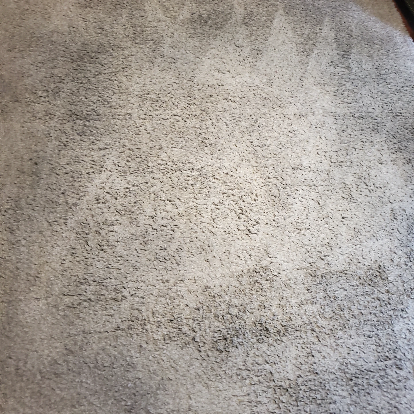 Cam Livington Super Soft Shag Area Rug