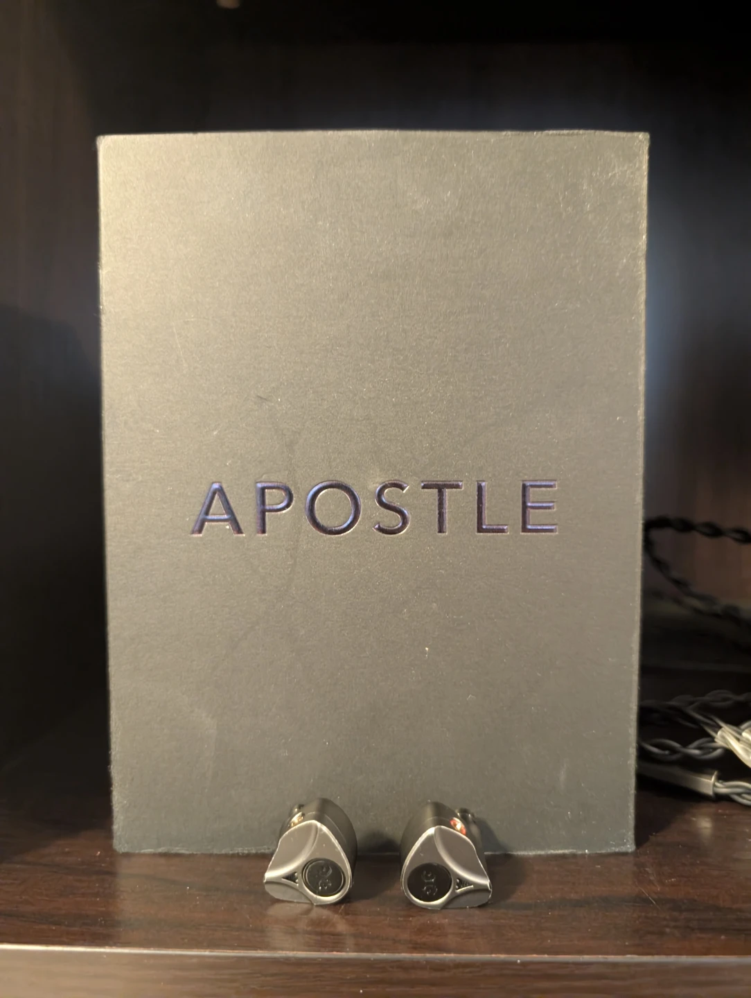 Elysian Apostle 2025 In Ear Monitors - photo 3