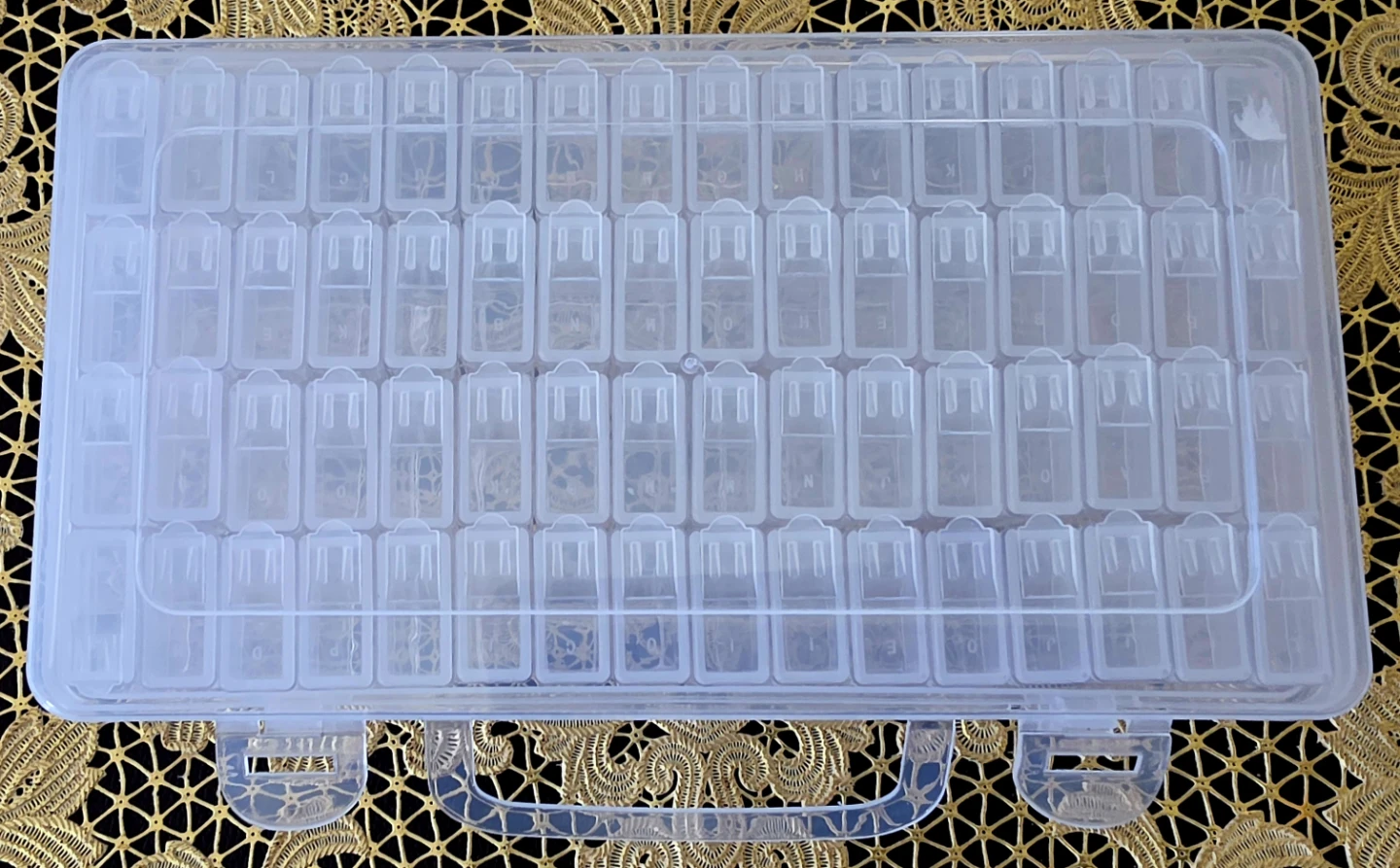Clear Plastic Storage Case with 64 Compartments