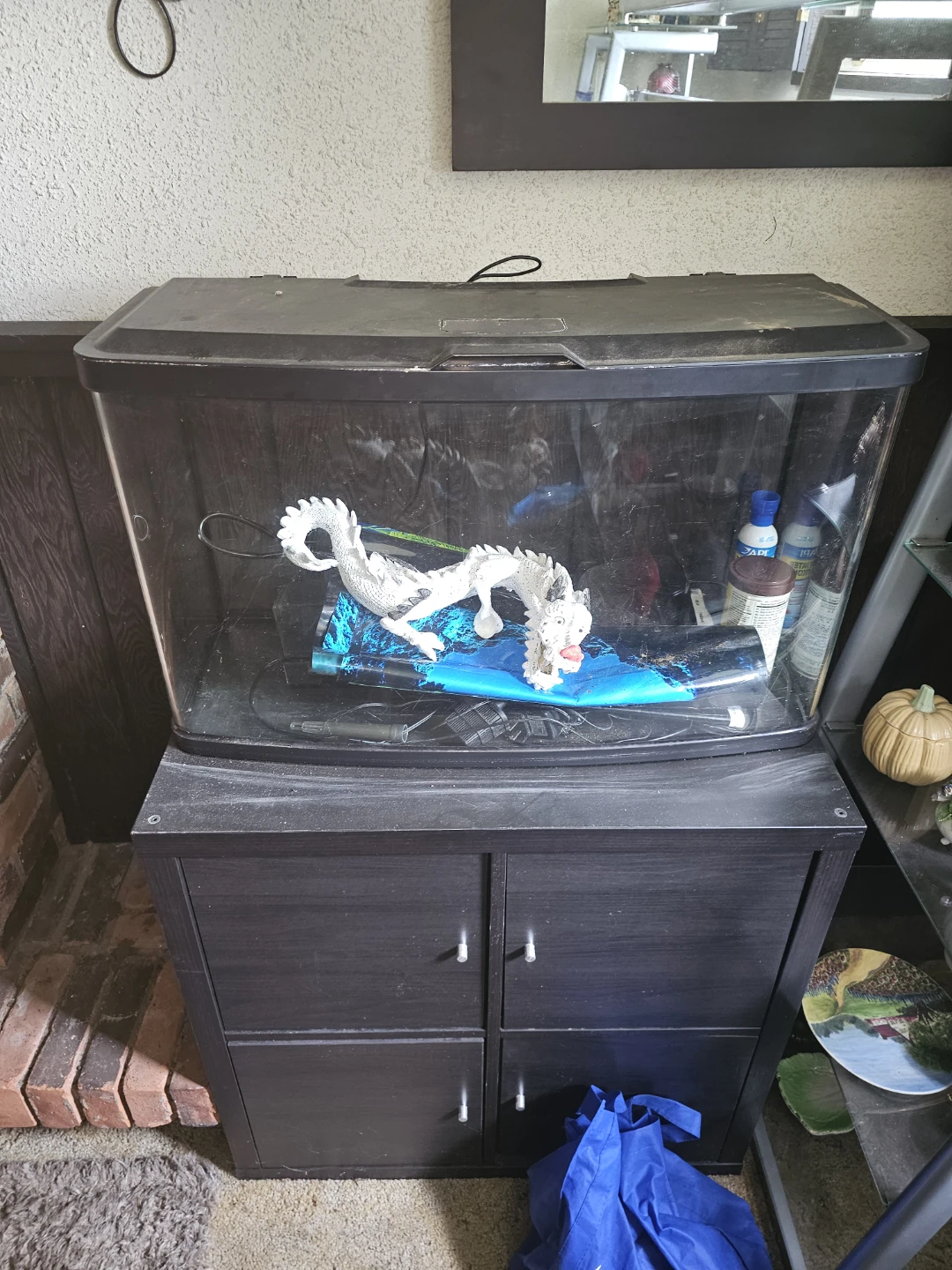 23 gallon fluval bowfront fish tank