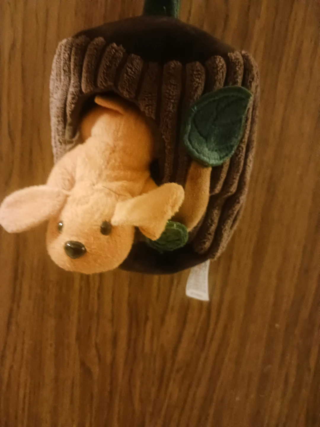 Aurora Squirrel in Log Plush