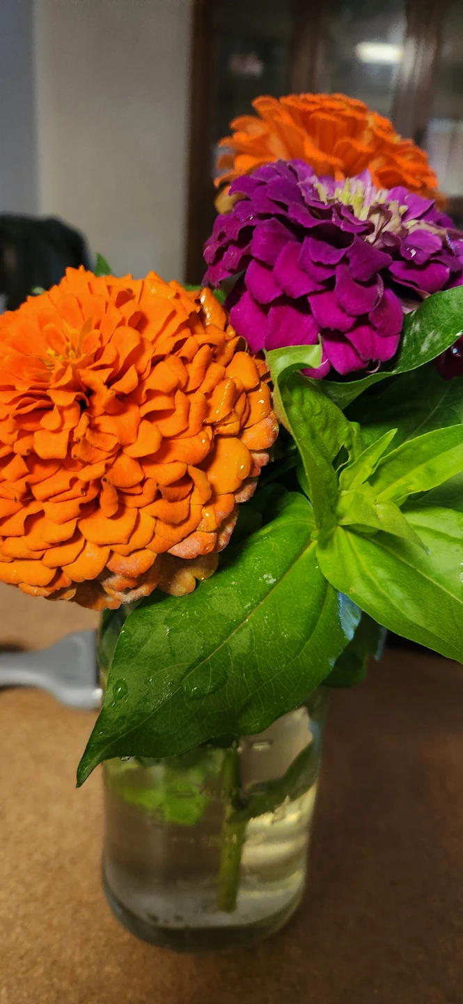 Mixed Zinnias Bouquet