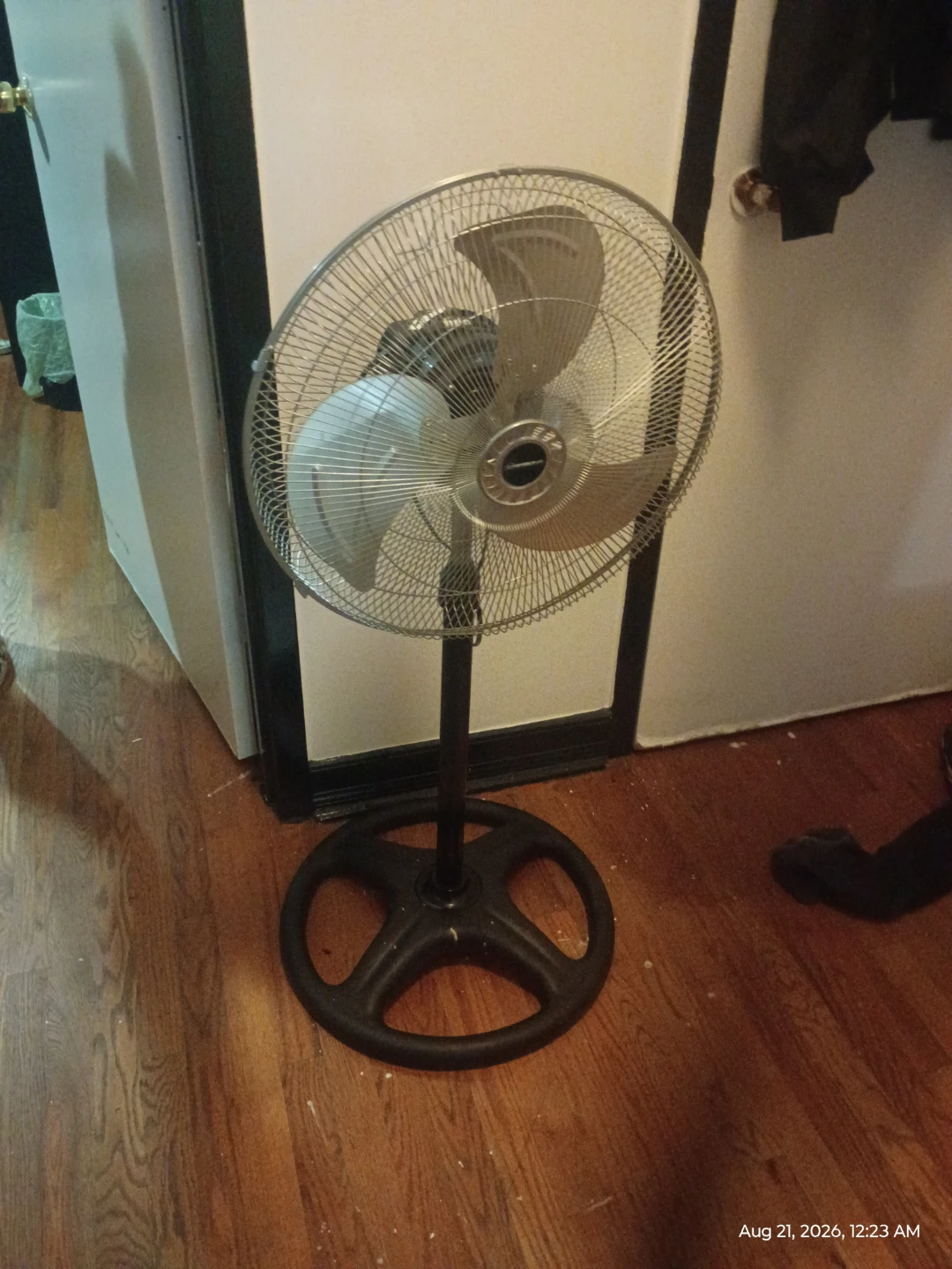 Black Oscillating Pedestal Fan