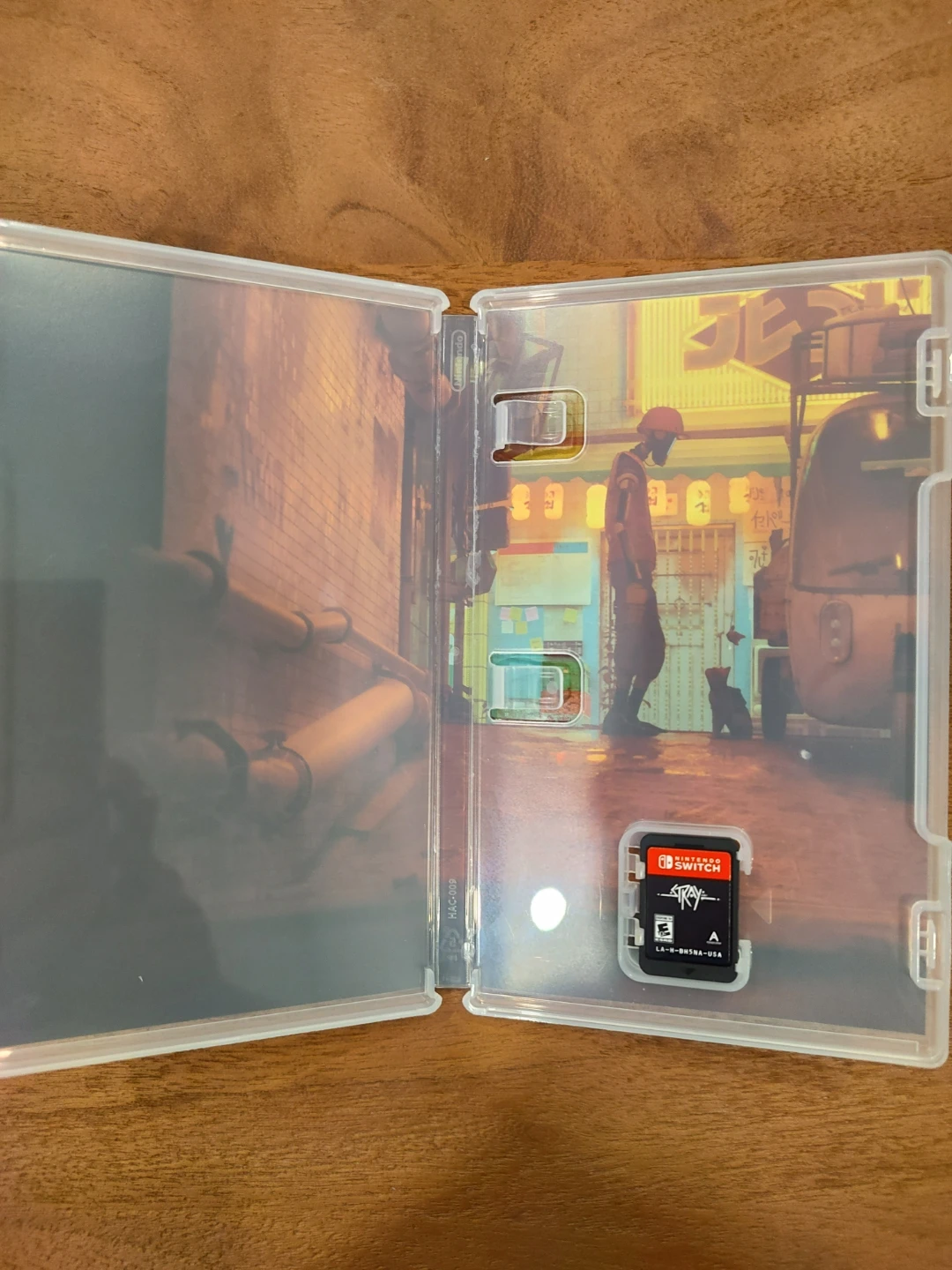 Stray - photo 3