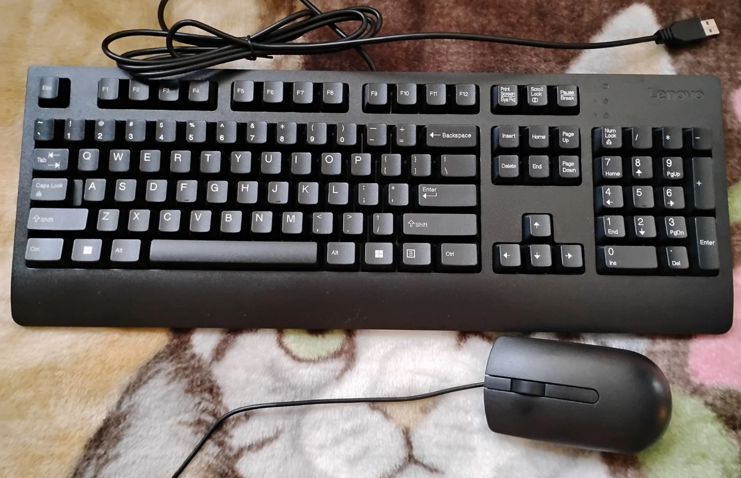 Lenovo Keyboard and Mouse Combo (like new)