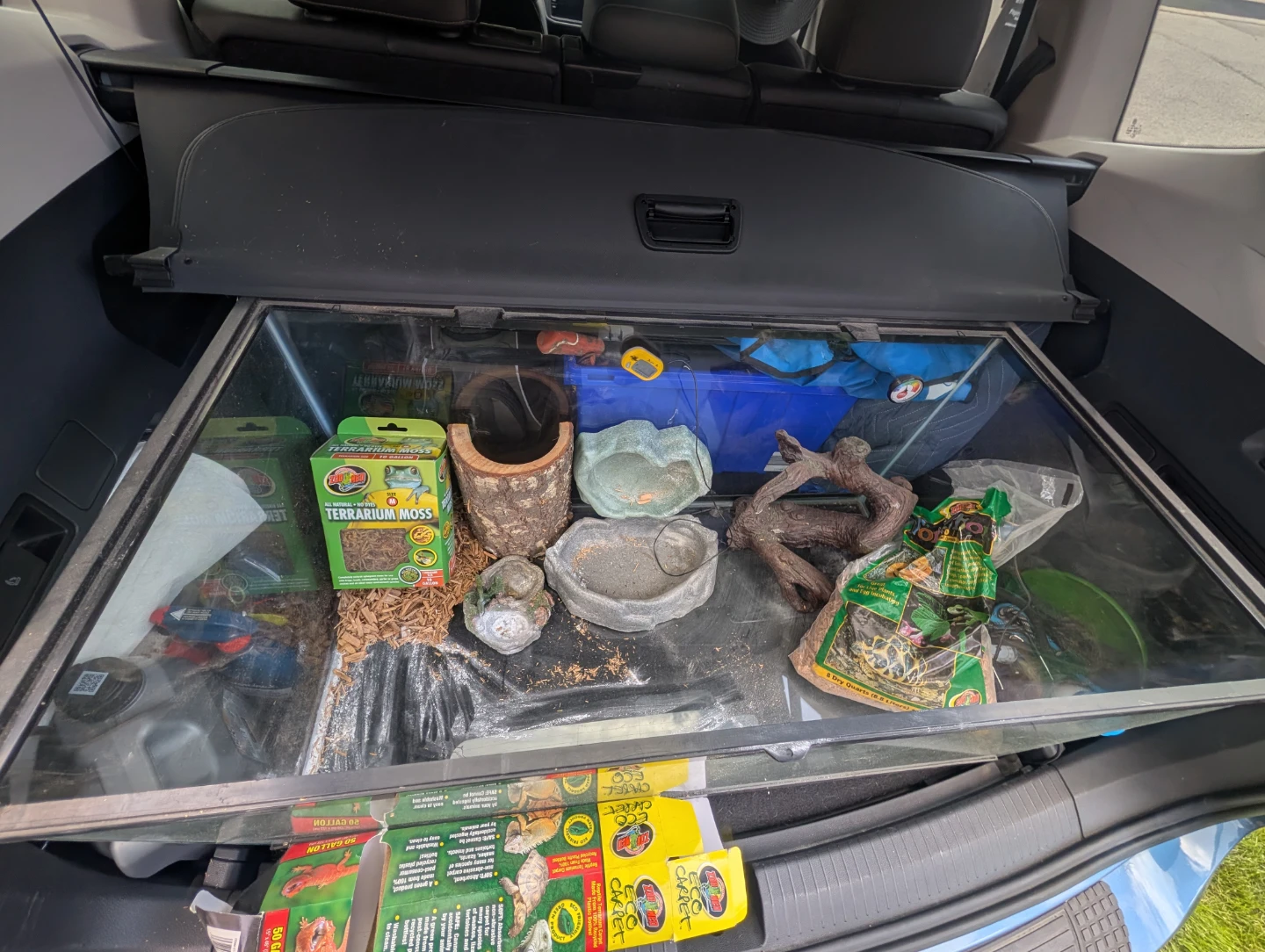 Large Terrarium/Aquarium - photo 2