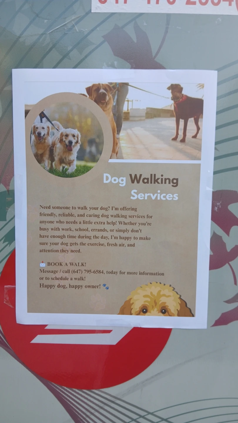 Dog walking services - photo 2