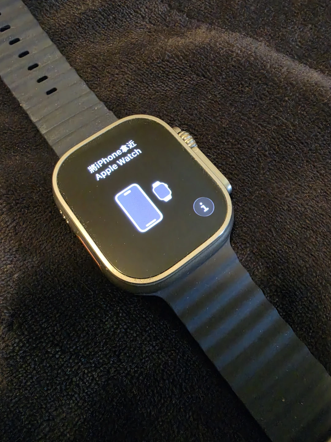Apple Watch Ultra 2 (49mm) - Natural Titanium