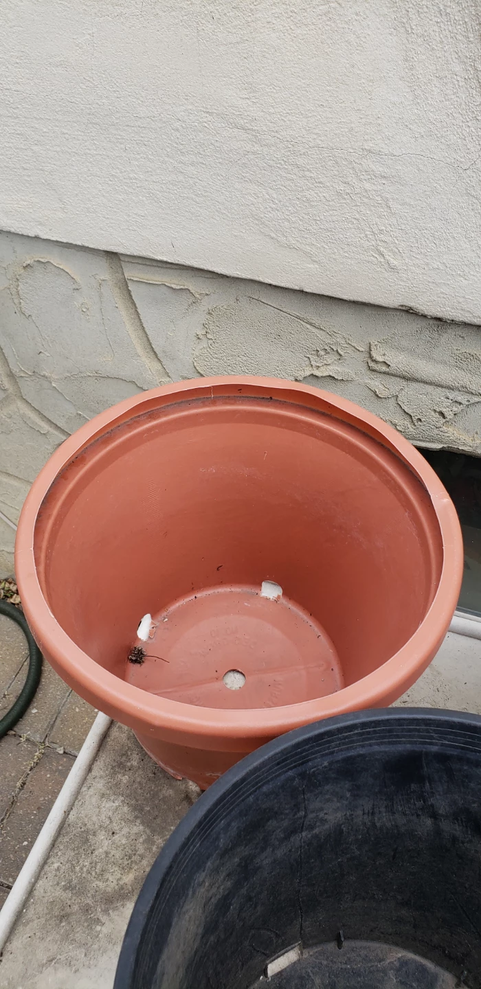 Set of 4 Plastic Pots $1 each!!! - photo 2