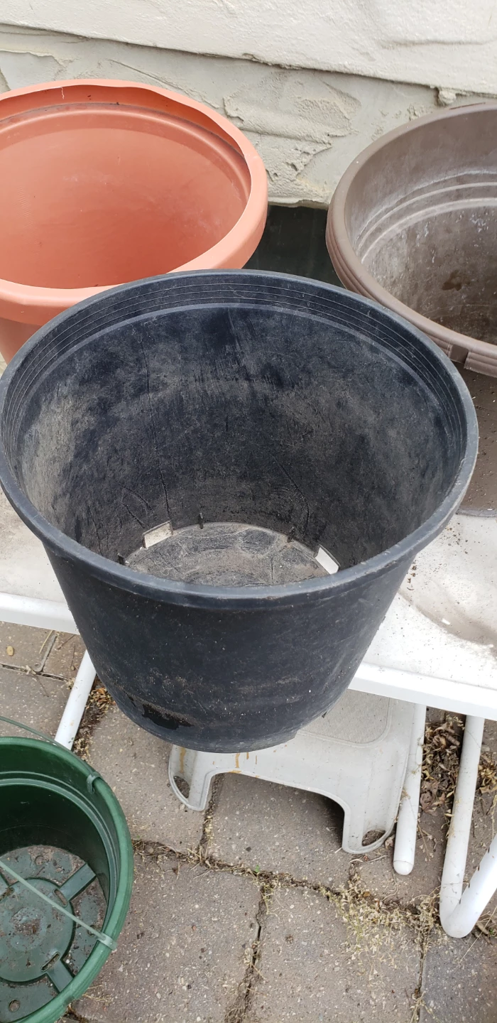 Set of 4 Plastic Pots $1 each!!! - photo 3