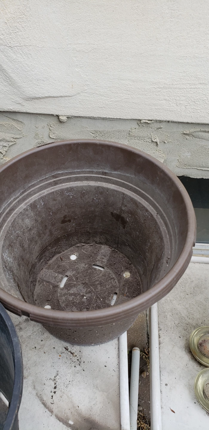 Set of 4 Plastic Pots $1 each!!! - photo 4