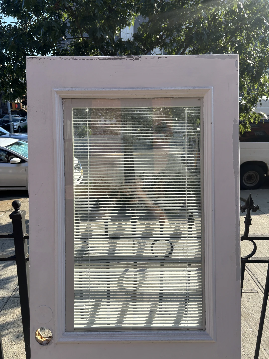 79 x 31 1/2 White Exterior Door with Built-in Blinds - photo 4