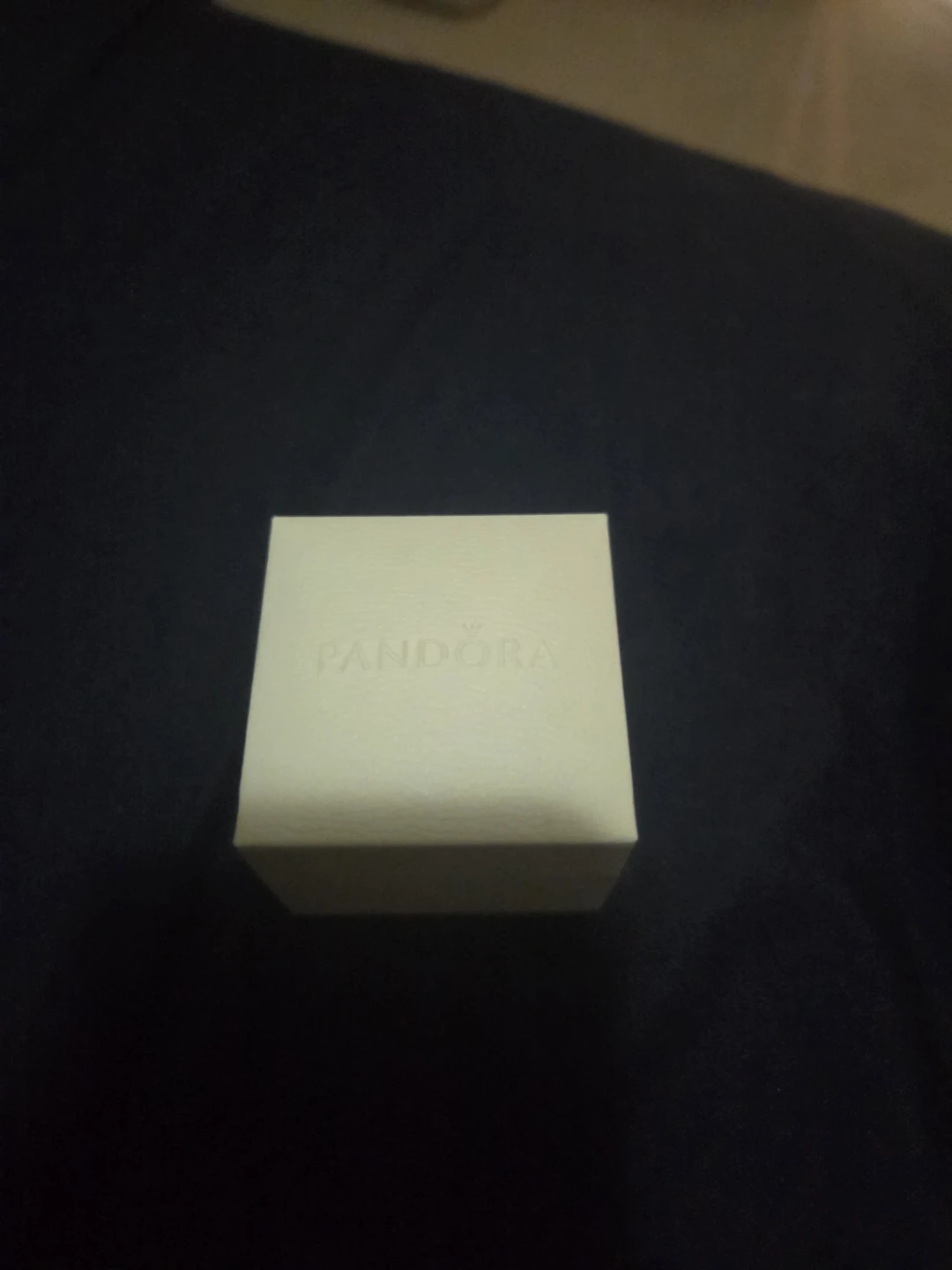 Pandora Charm