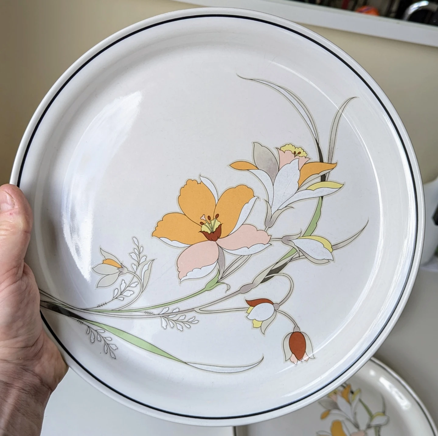 Carico Casual Collection Serenity Dinner Plates - Set of 4