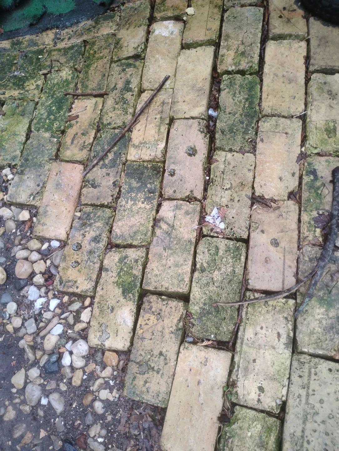 Used Bricks (Barr Brand) - photo 3