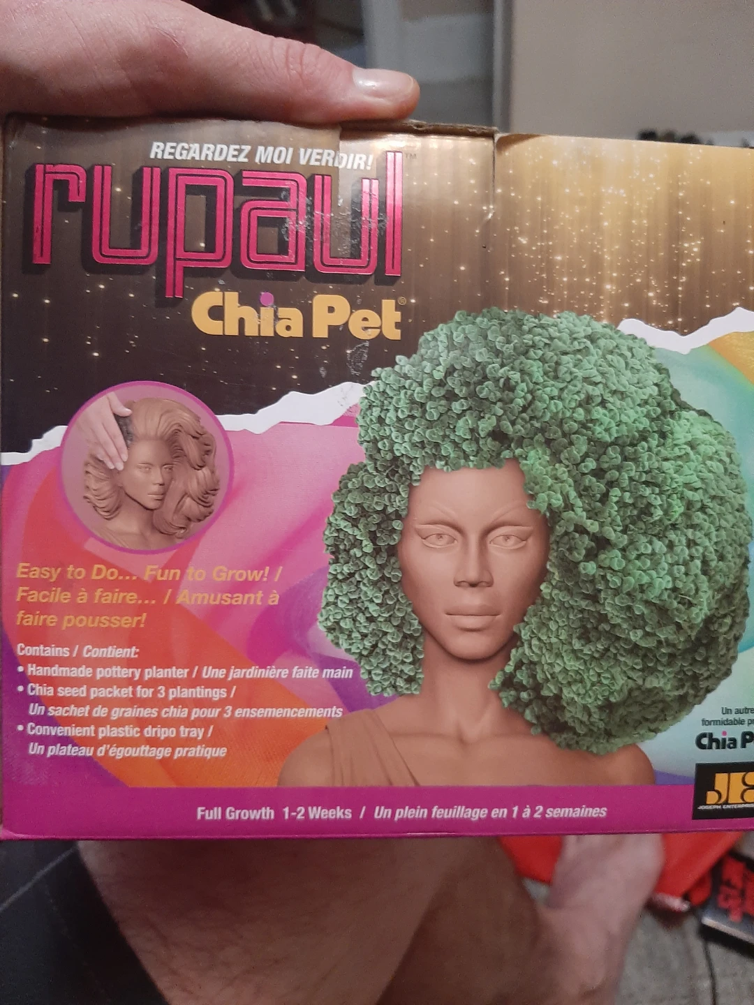 RuPaul Chia Pet and RuPauls chocolate bar - photo 2