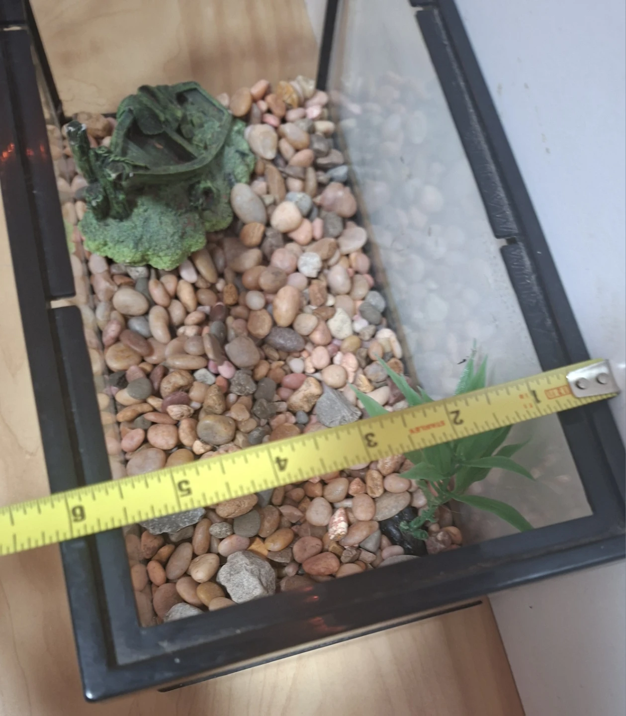 Glass Fish Tank - photo 5