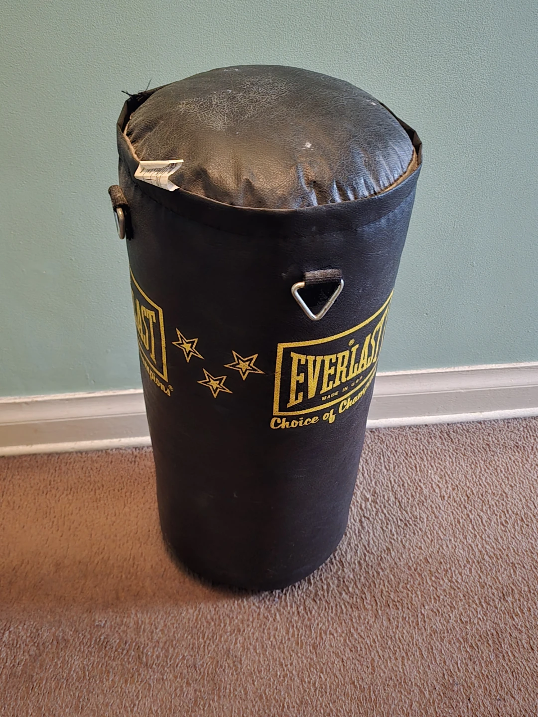Everlast Punching Bag - photo 2