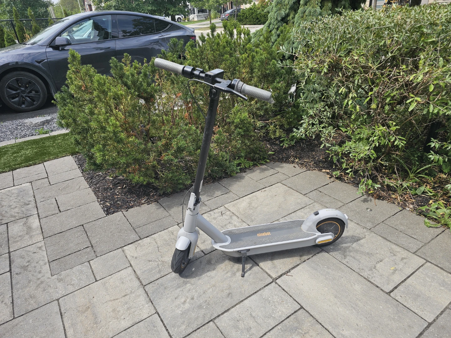 Segway Ninebot Electric Kickscooter