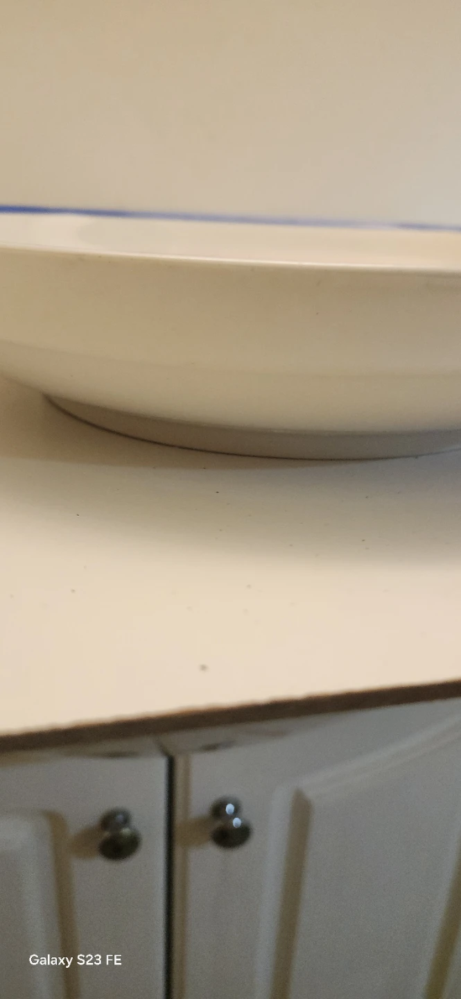 Pasta Bowl Spaghetti Design $20 Each - photo 3