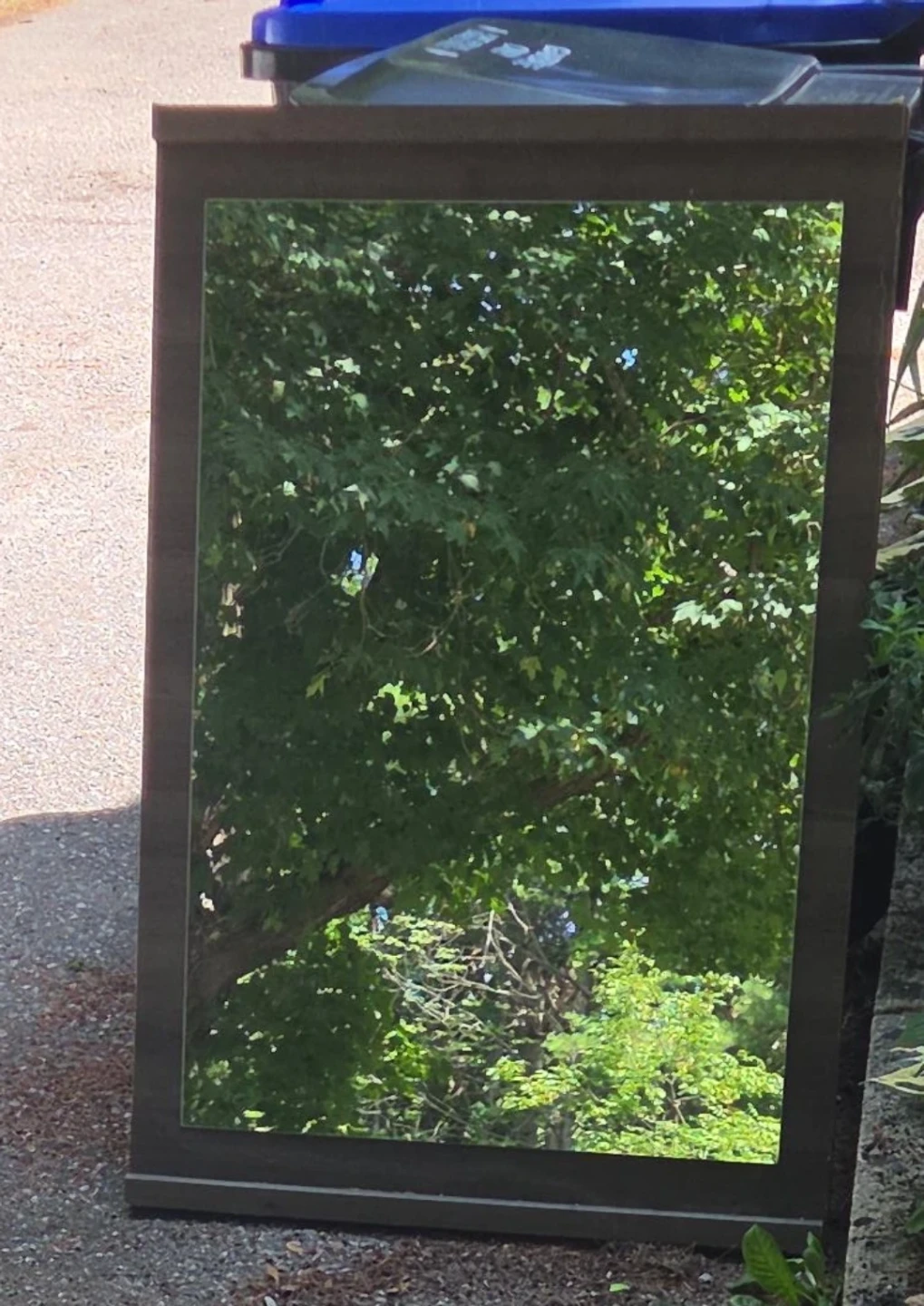 Wooden Framed Mirror