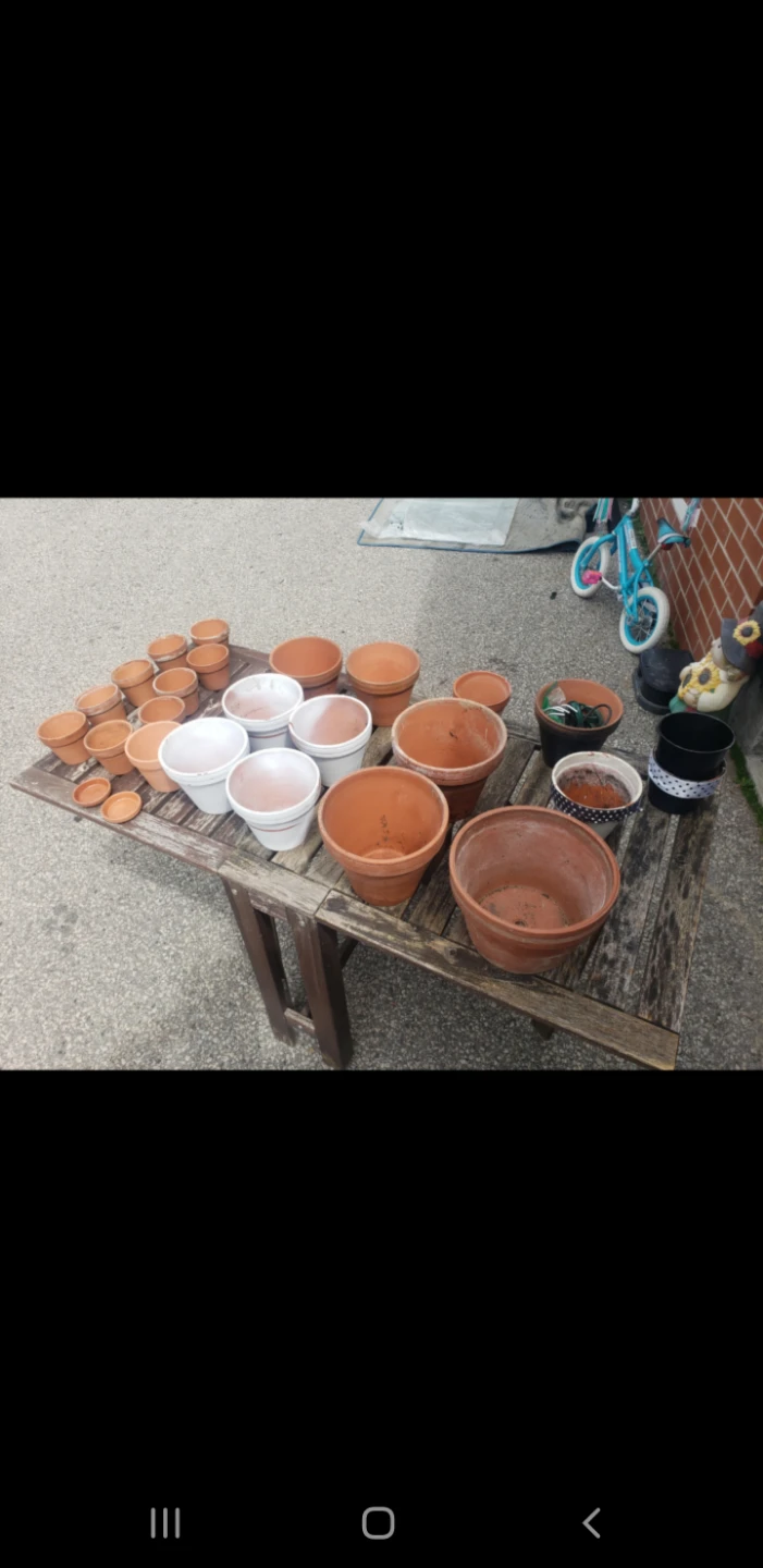 Assorted Terracotta and White Plant Pots