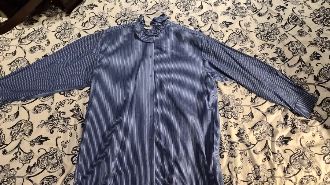 ZARA Blue Striped Long Sleeve Button-Up Shirt