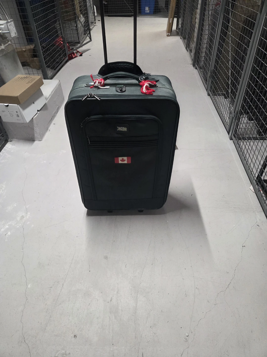Jaguar Dark Green Spinner Suitcase with Canadian Flag Decal - photo 4