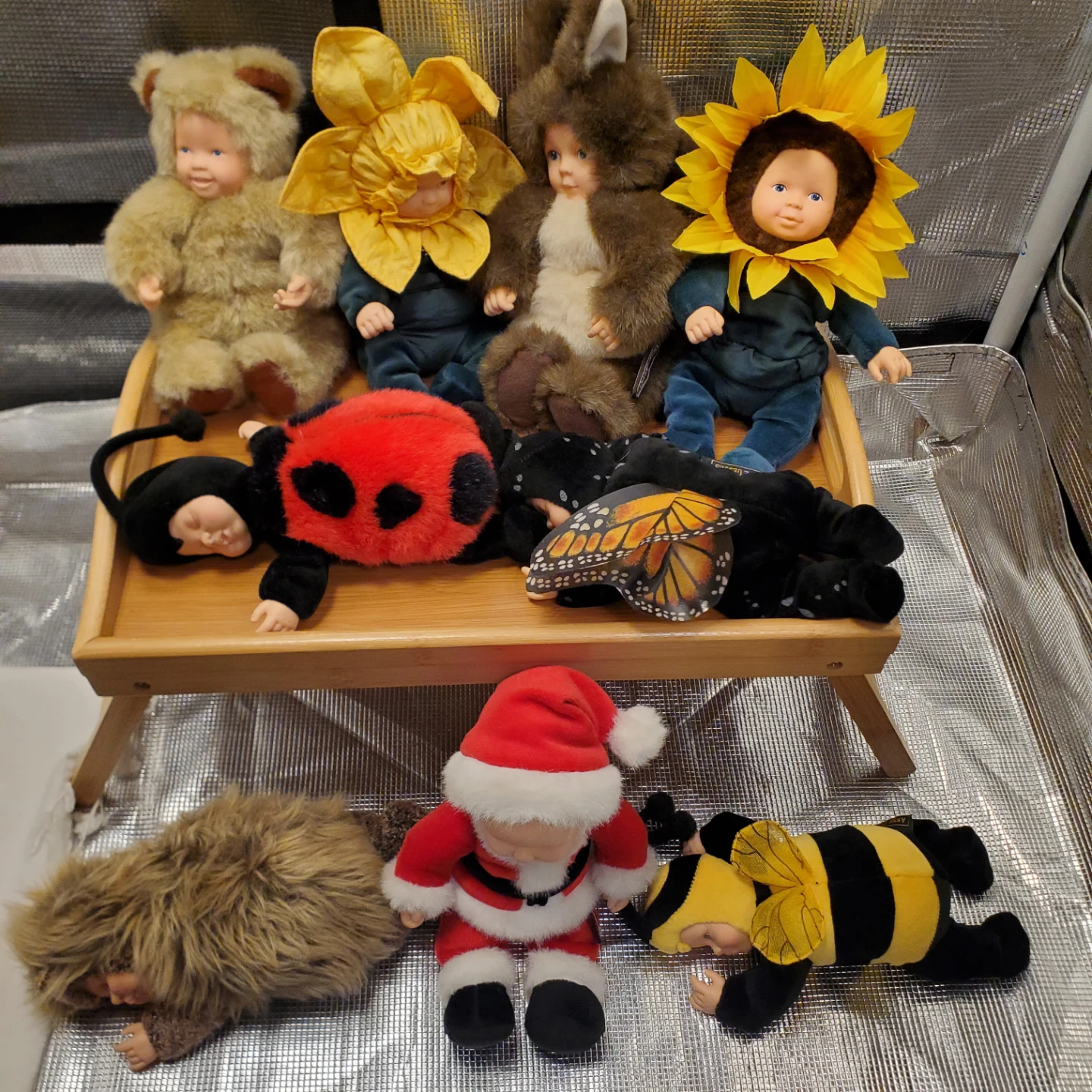 Anne Geddes doll collection