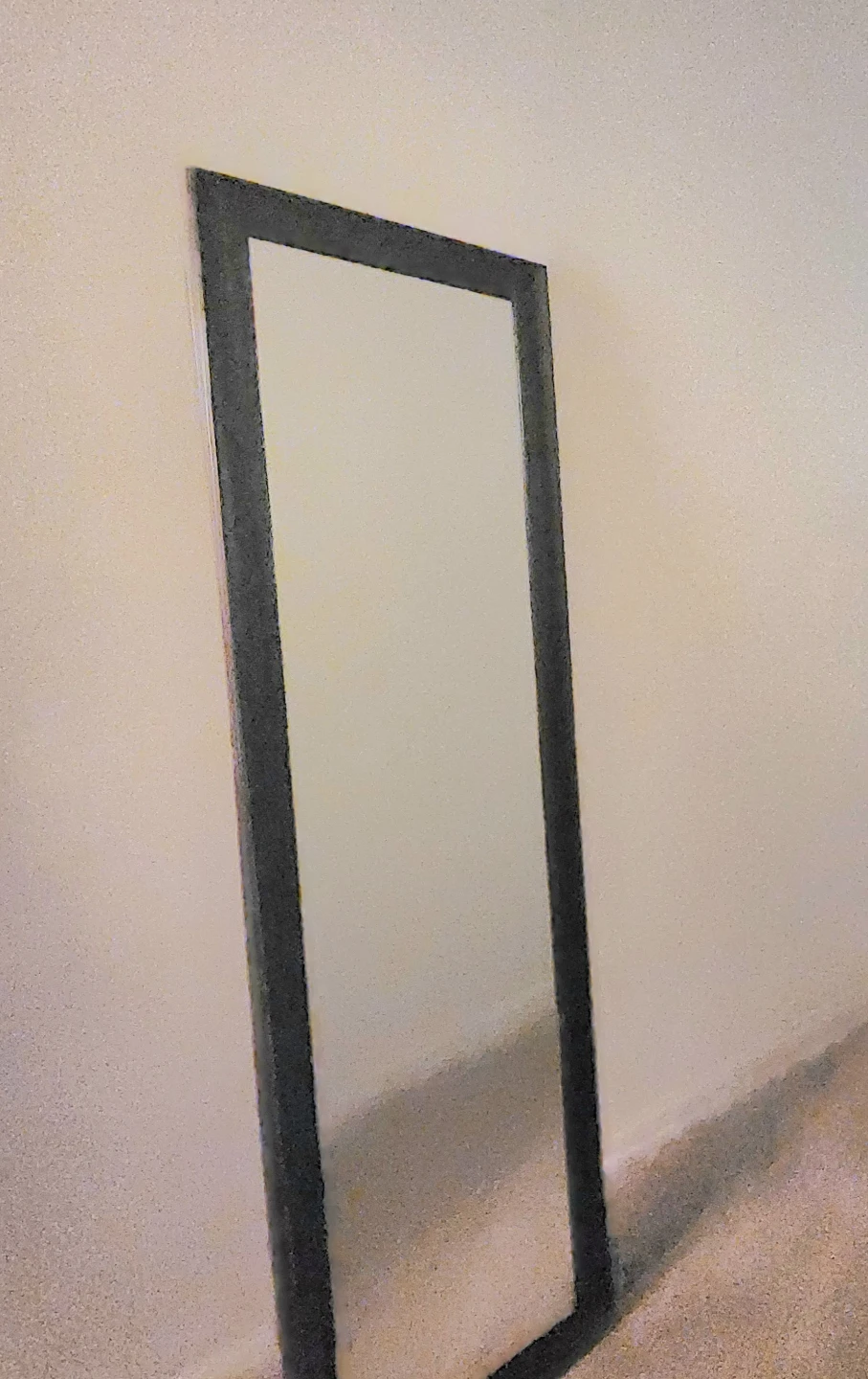 Door Mirrors - photo 4