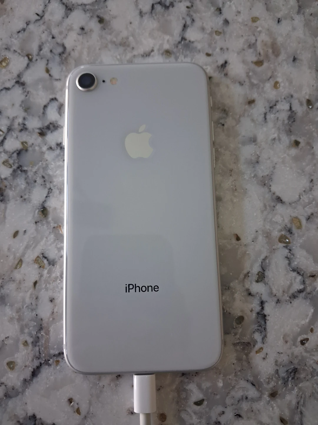 Apple iPhone 8 Silver - photo 3