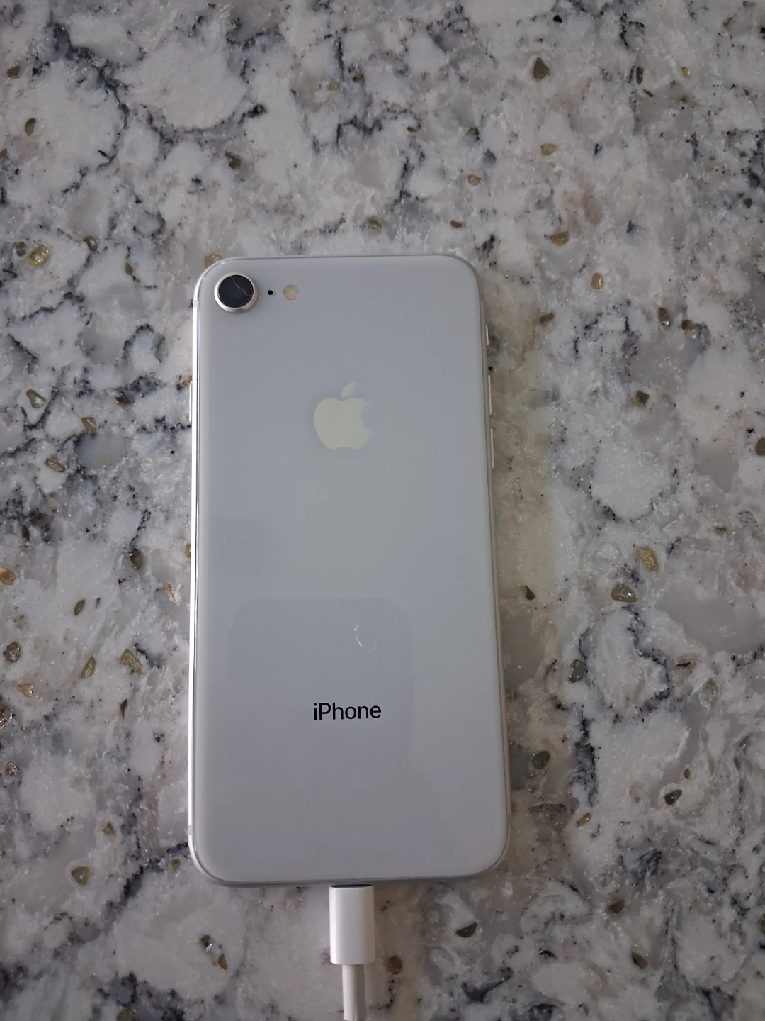 Apple iPhone 8 Silver - photo 5