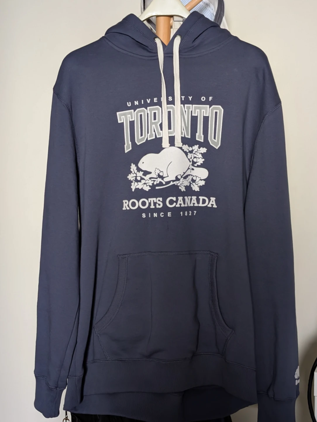 Roots University of Toronto Hoodie
