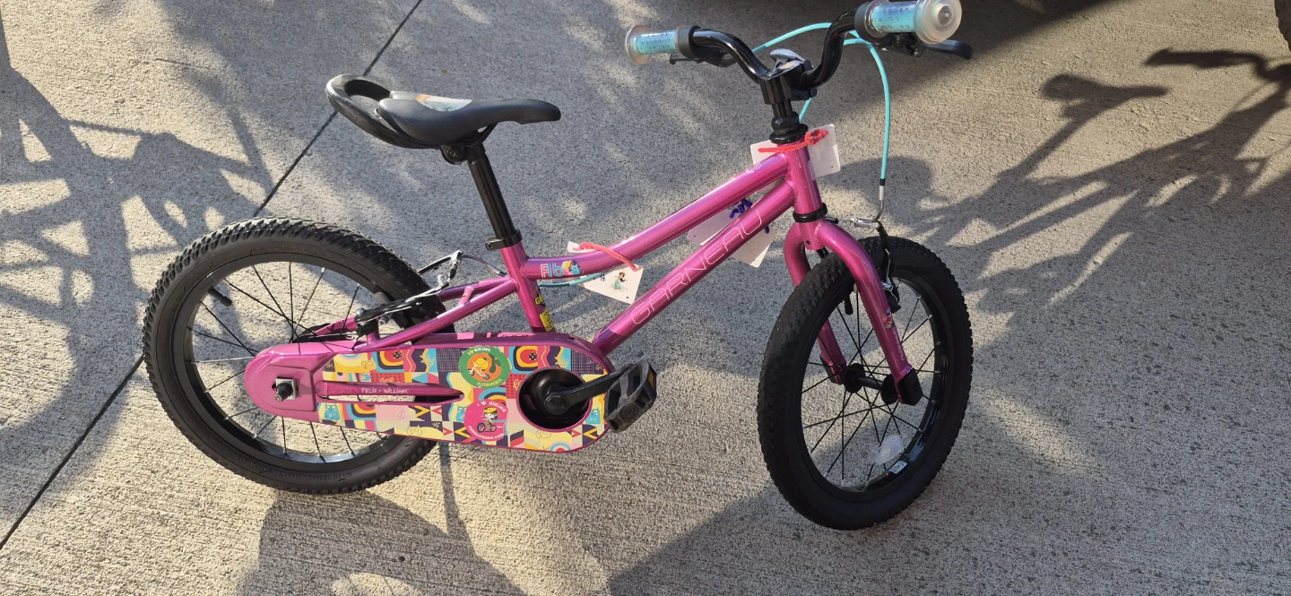 Garneau F14 Kids Bike
