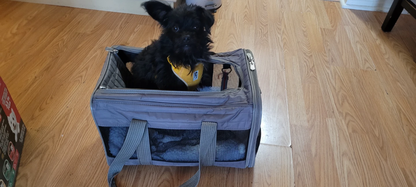 black Sherpa pet carrier - photo 2