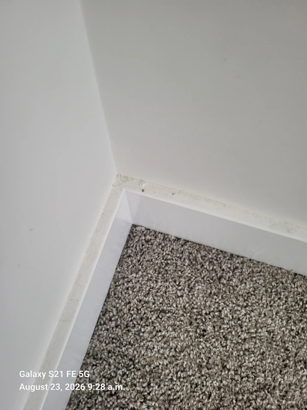 Cleaning  services - photo 2