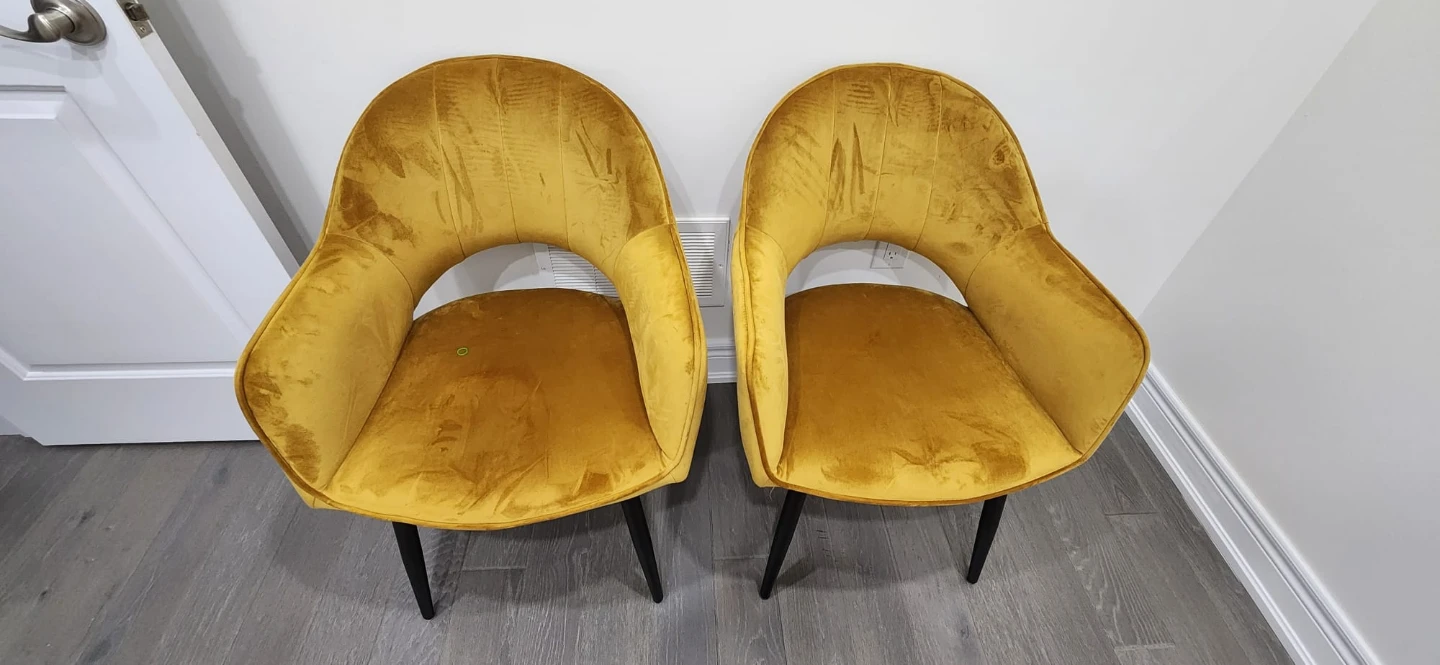 Velvet Accent Chairs - Set of 2