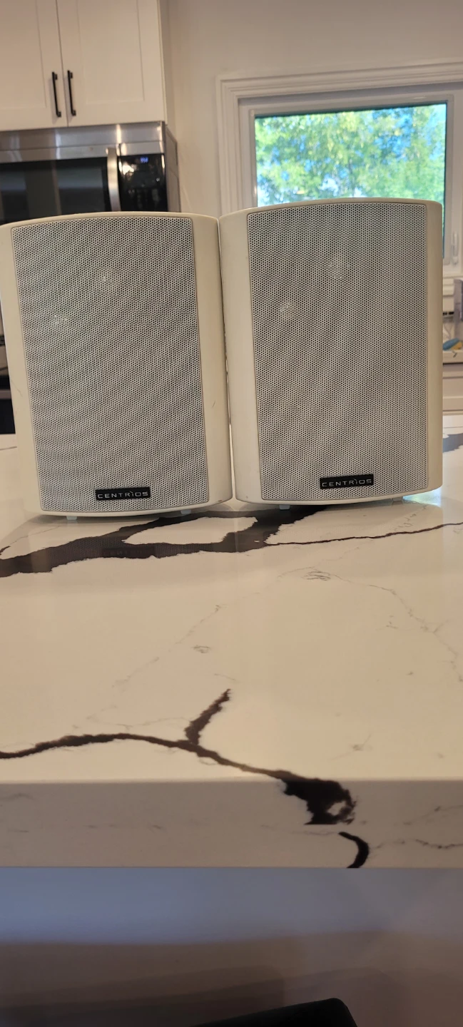 Centrios 4012161 Indoor/Outdoor Cabinet Speakers