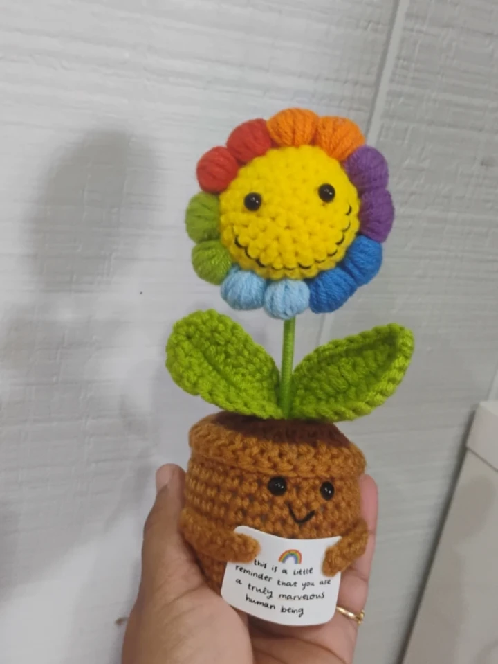 Crocheted Rainbow Flower with Smiling Pot