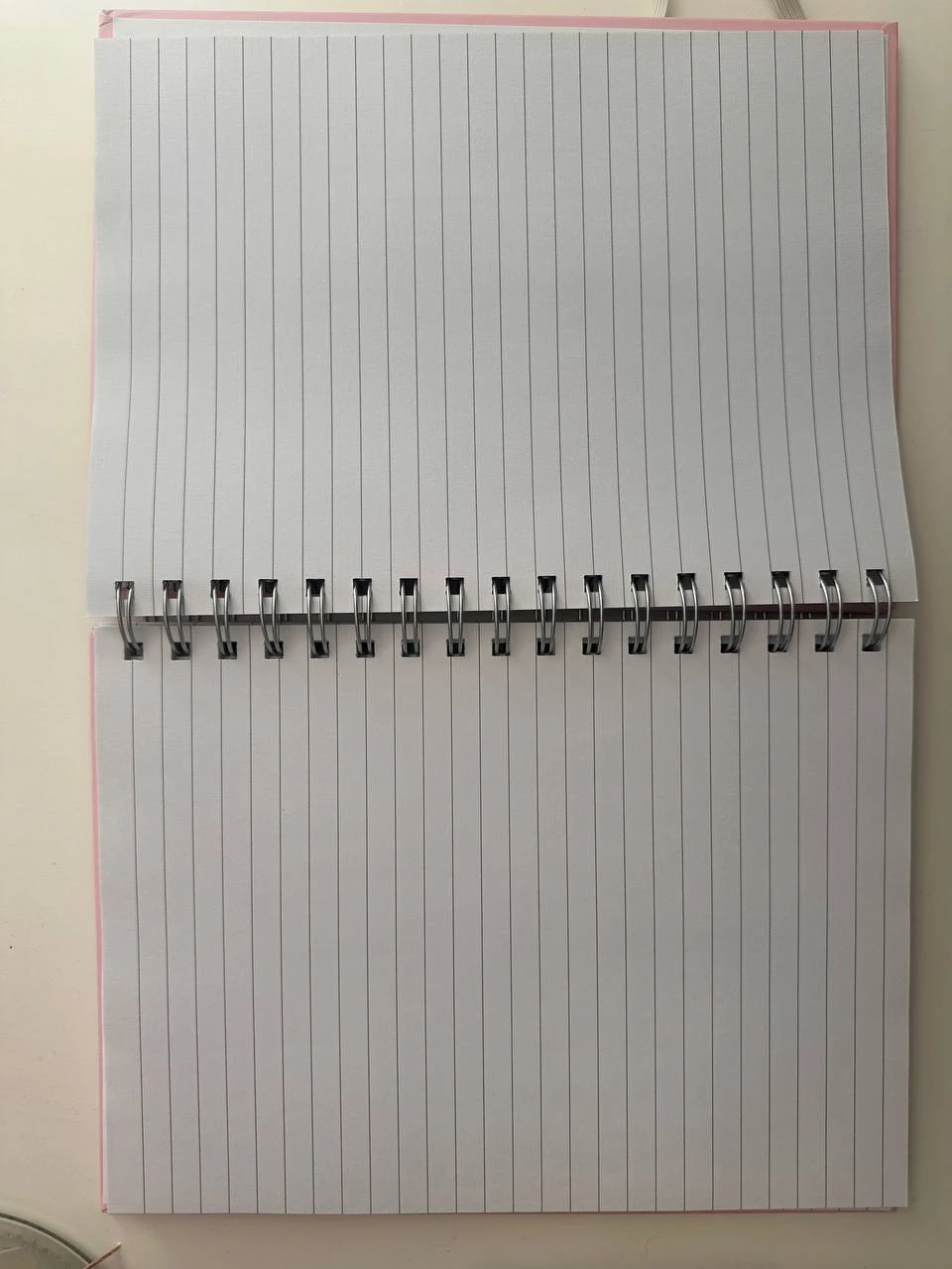 Barbie Spiral Notebook - photo 4