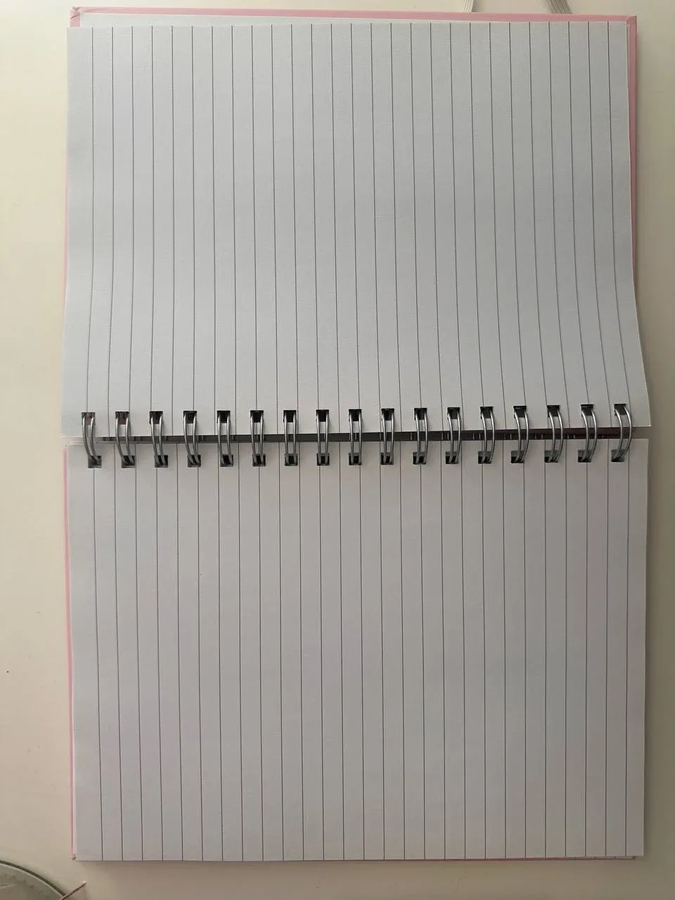 Barbie Spiral Notebook - photo 4