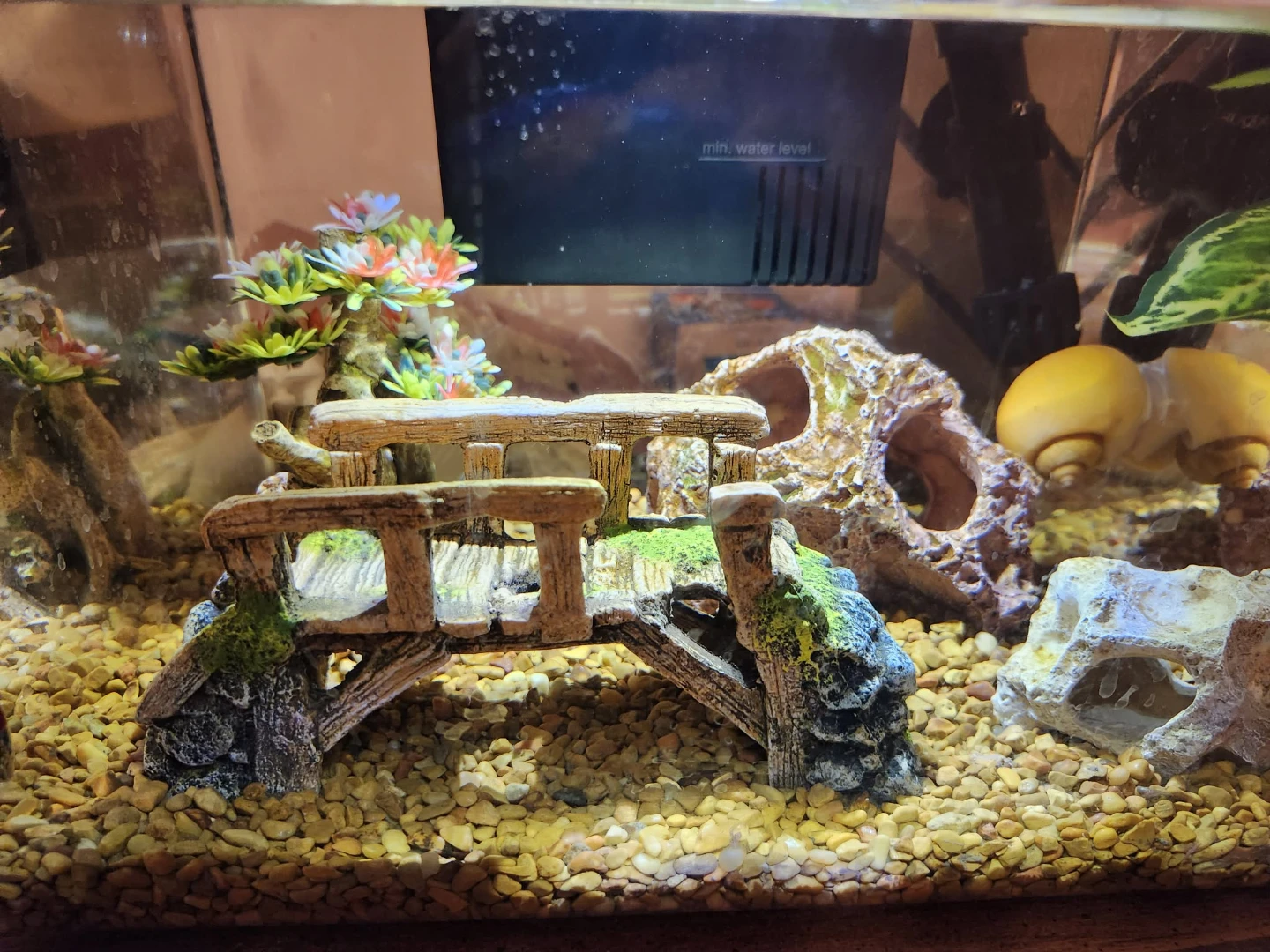 Top Fin Fish Bundle