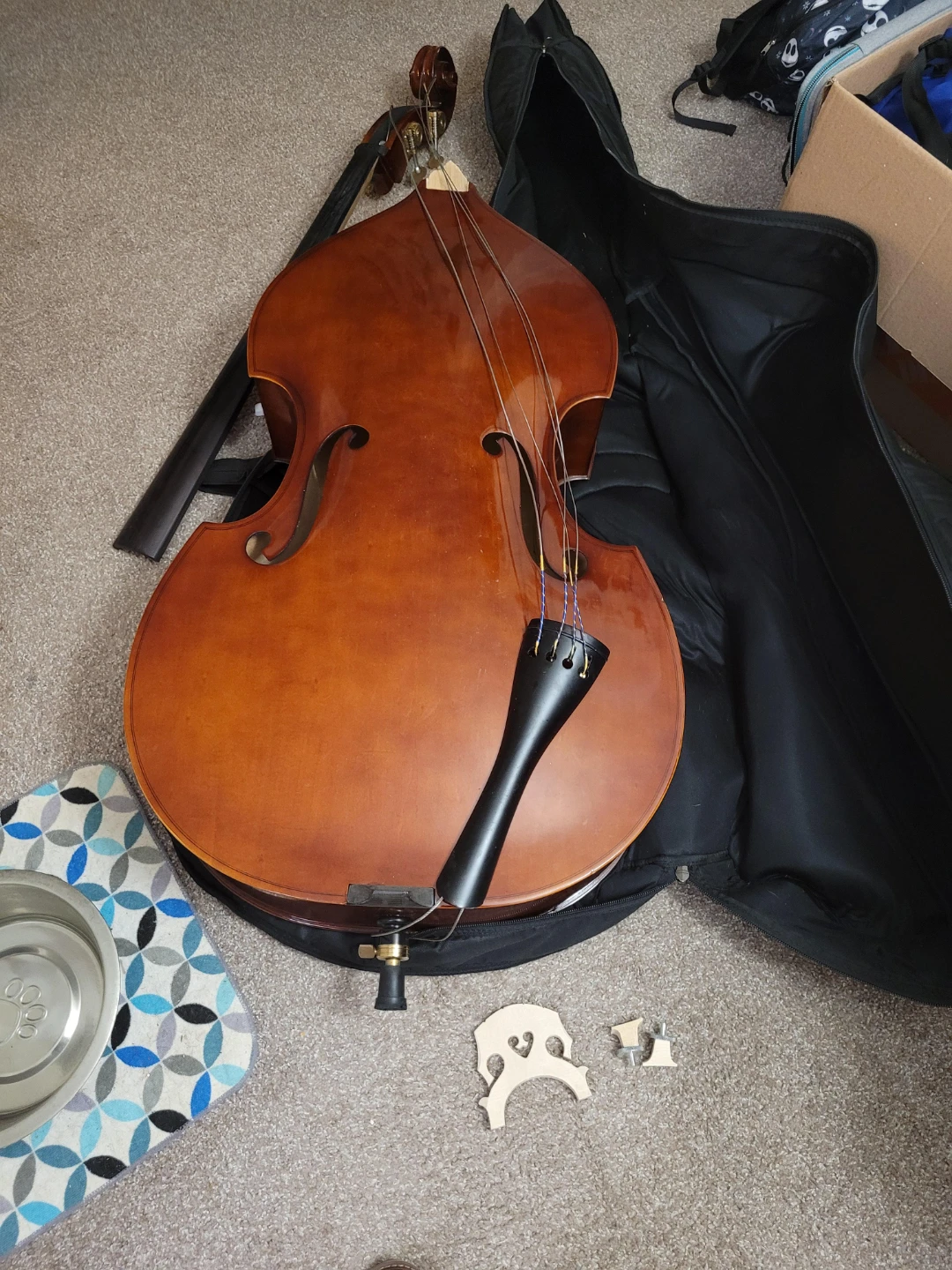 Looking for free broken instruments