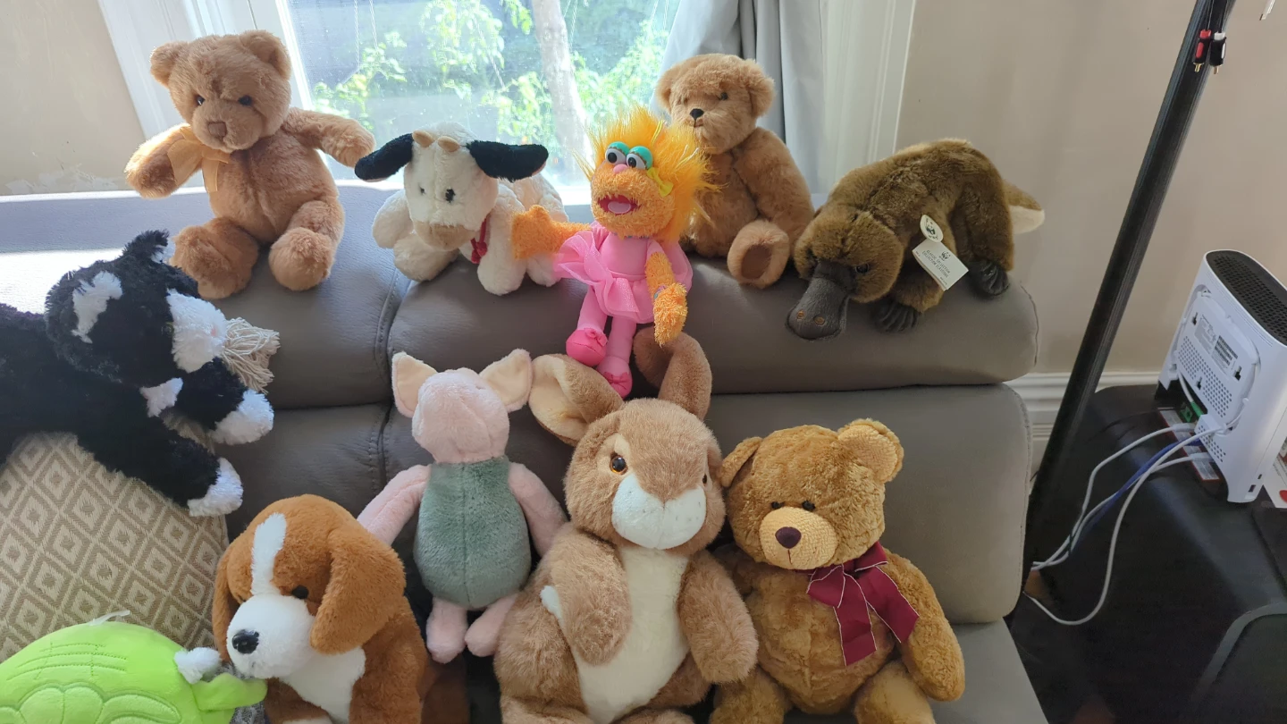 Collection of Plush Stuffed Animals washed - photo 4