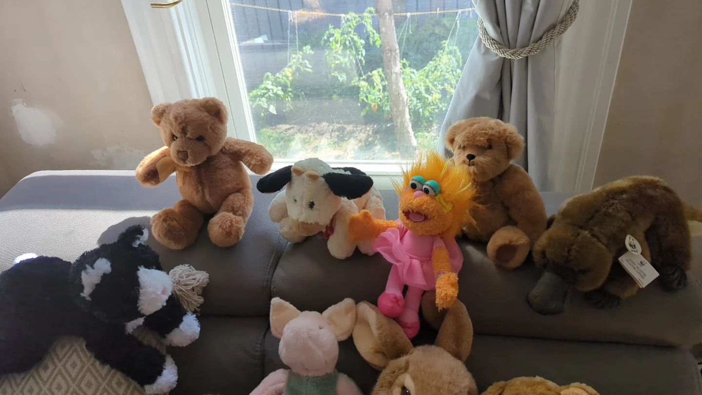 Collection of Plush Stuffed Animals washed - photo 5