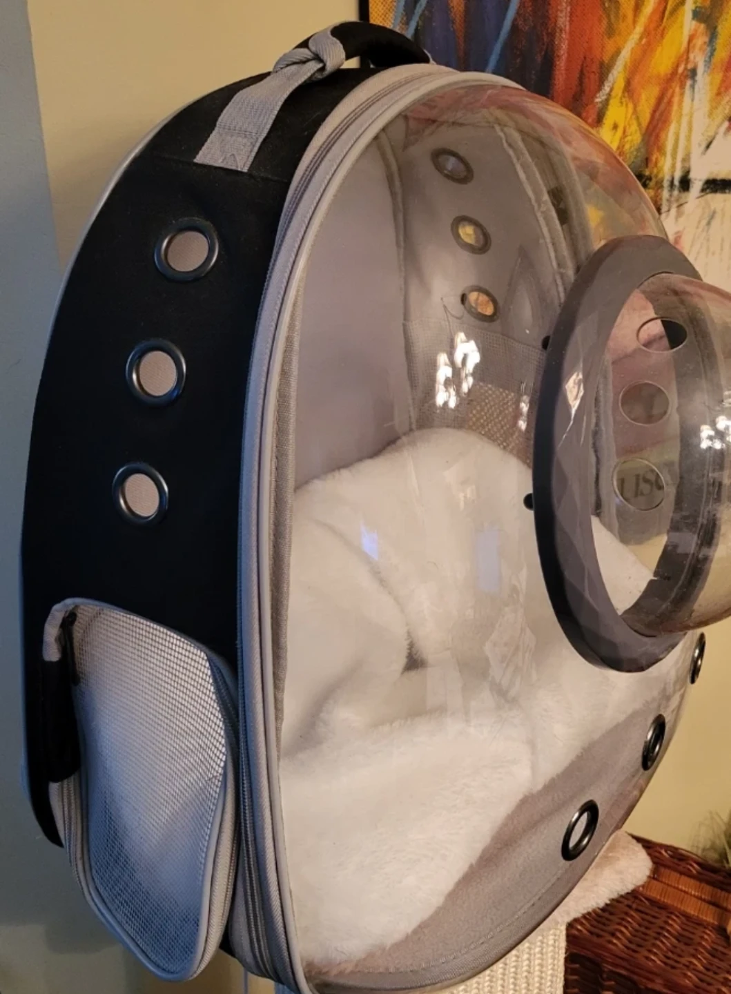 Cat Carrier Backpack Bubble View